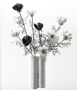 ''Hideko Endo: Sumi flower'' in mostra a Palazzo Coppini