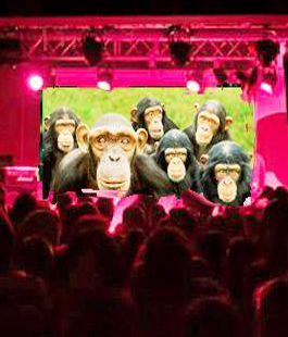 ''Monkey Show'' al Combo Social Club di Firenze