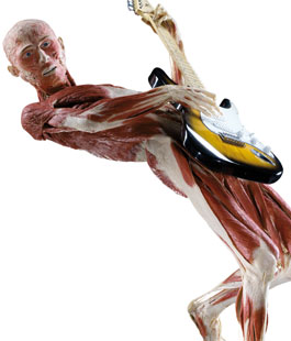 ''Body Worlds'': a Santo Stefano al Ponte la mostra con veri corpi umani