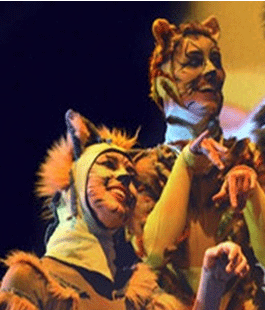 ''La casa dei gatti'', spettacolo per le famiglie al Teatro di Rifredi