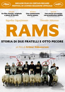 ''Rams. Storia di due fratelli e otto pecore'' al Cinema Spazio Uno